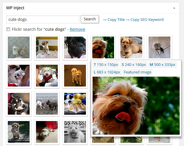 WP Inject photo search